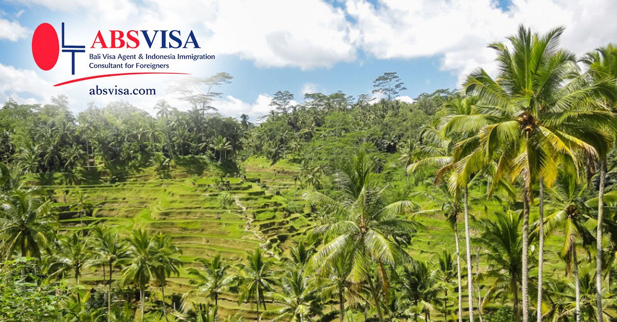 Living safely in Bali with tropical environment, expat lifestyle, and daily life surroundings