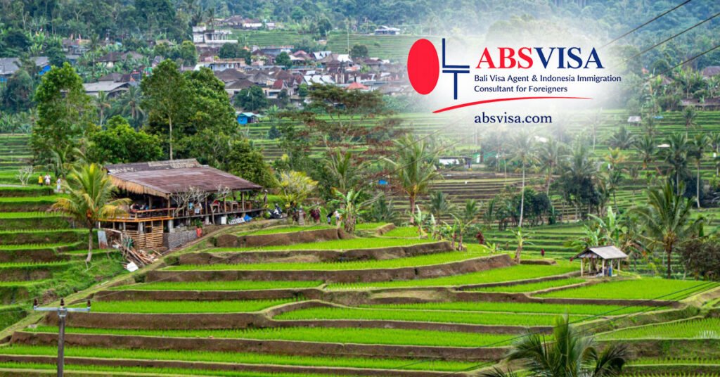 Where to Live in Bali Long Term